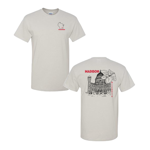 Gildan Heavy Cotton Basic T-Shirt -- Ice Grey