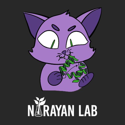 Catnip T-Shirt -- Black