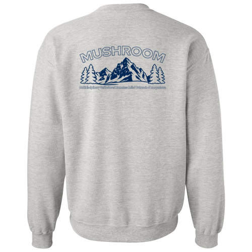 Gildan Heavy Blend Crew Neck Sweatshirt -- Ash