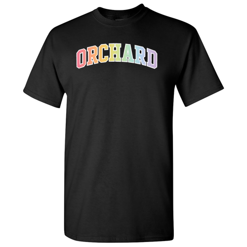 Pastel Rainbow Gildan Heavy Cotton T-Shirt -- Black
