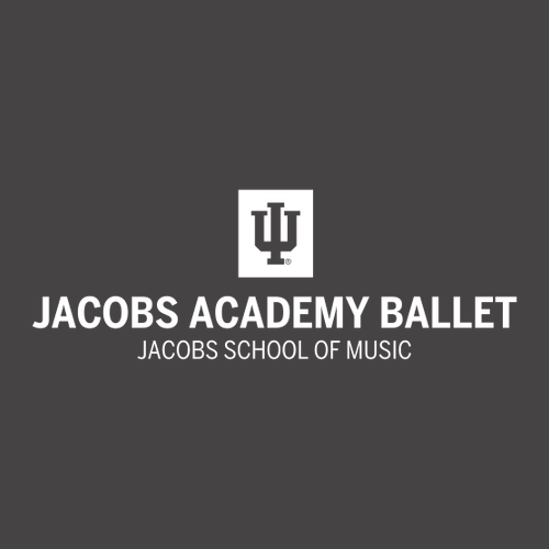 Gildan Ultra Cotton Longsleeve Basic T-Shirt -- Charcoal