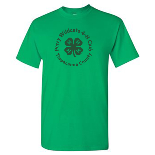 Gildan Heavy Cotton Adult T-Shirt -- Irish Green