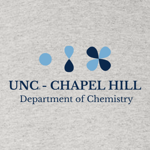 Hanes Authentic Short Sleeve T-Shirt -- Ash -- Orbit