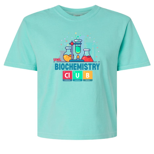 Comfort Color Lady's Heavyweight Boxy Tee -- Chalky Mint