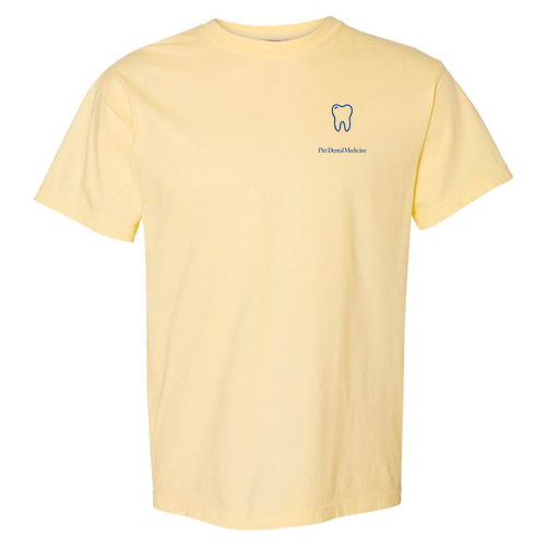 Comfort Colors Ringspun Garment Dyed T Shirt -- Banana