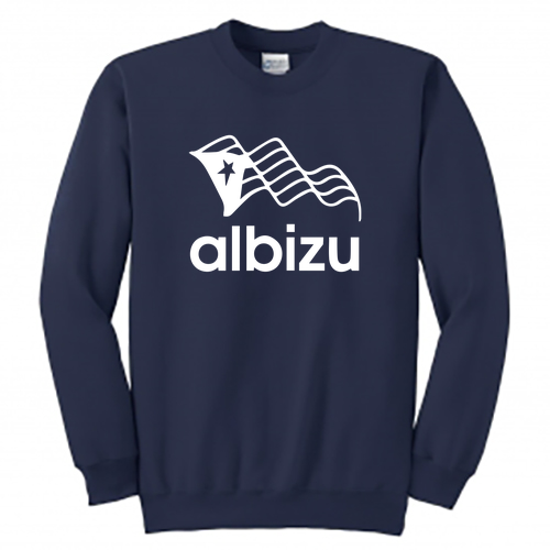 Crewneck Sweatshirt -- Navy
