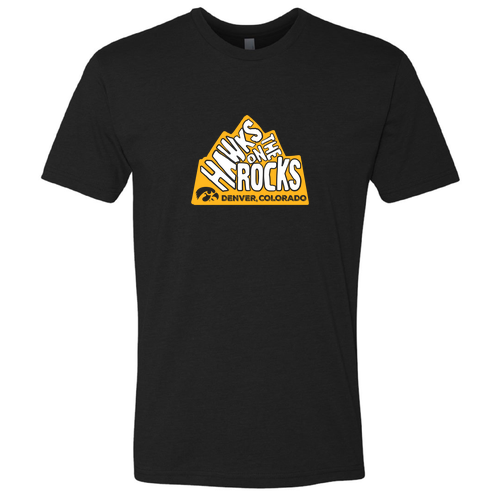 Next Level Mens CVC Crew -- Black