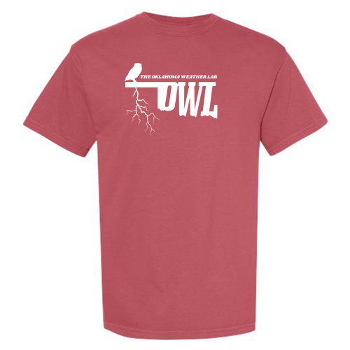 Comfort Colors Unisex Garment-Dyed Heavyweight T-Shirt -- Crimson
