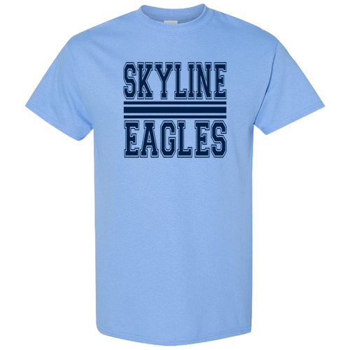 Gildan Heavy Cotton Basic T-Shirt -- Carolina Blue, Sophomores