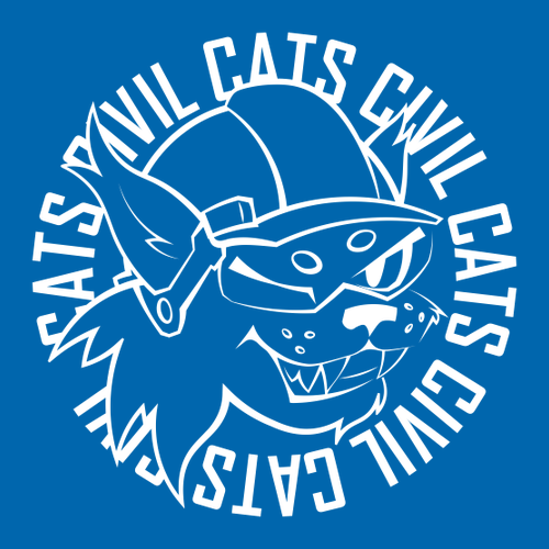 Bella Canvas Unisex Jersey T-Shirt -- True Royal