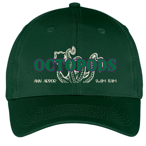 Port and Company 6-panel Twill Hat -- Hunter