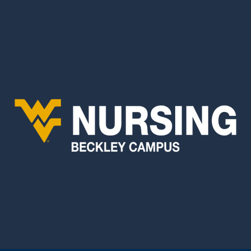 Gildan SoftStyle T-Shirt -- Navy