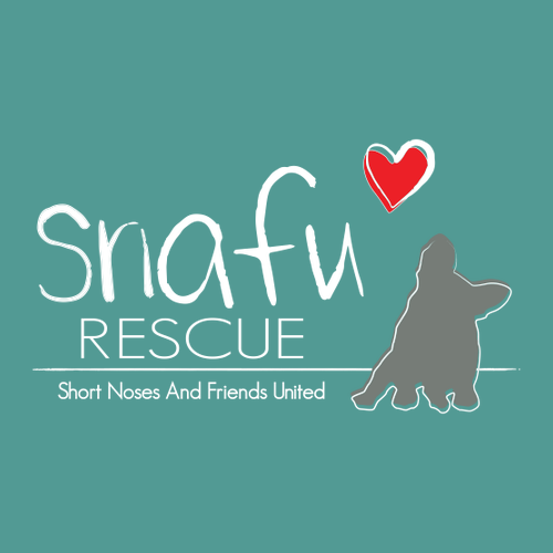 Comfort Colors Adult Long Sleeve Pocket Tee -- Sea Foam