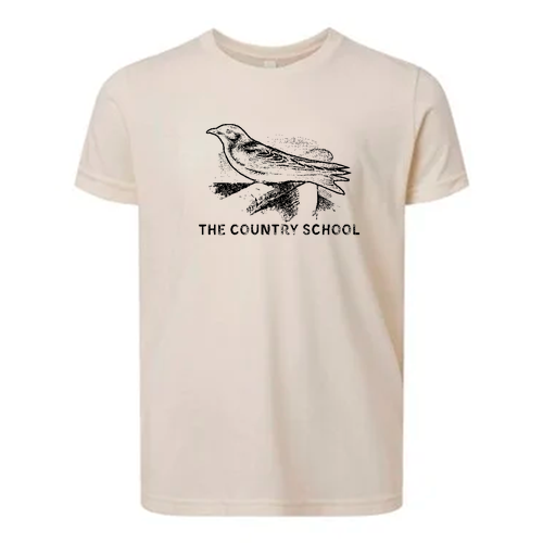 Bella Canvas Youth Triblend Jersey Short Sleeve Tee -- Oatmeal TriBlend