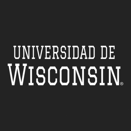 Champion Washed-Twill Dad Hat -- Black