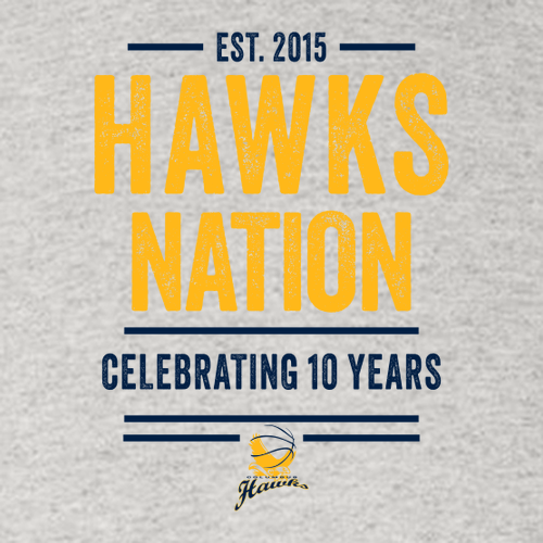 Gildan Adult Dryblend Adult Hooded Sweatshirt -- Ash