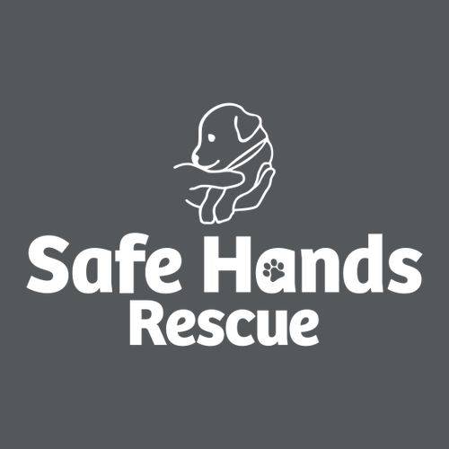 Comfort Colors Ringspun Long Sleeve Tee -- Graphite