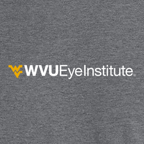 Gildan SoftStyle T-Shirt -- Graphite Heather