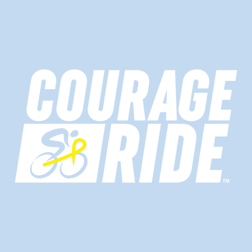 Comfort Colors Heavyweight Adult T-Shirt -- Hydrangea