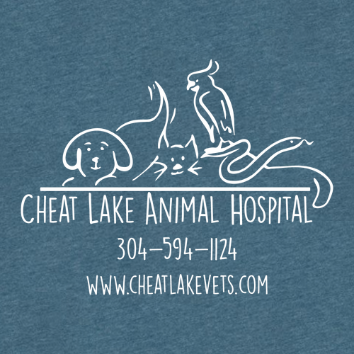 Bella+Canvas Unisex Heather Cvc Long Sleeve Tee- Heathers -- Heather Deep Teal