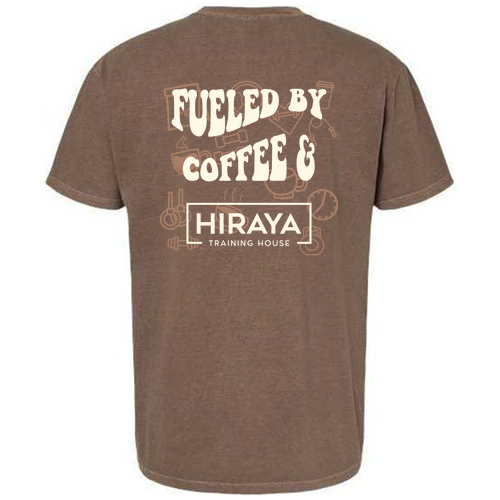 Comfort Colors Ringspun Garment Dyed T Shirt -- Espresso