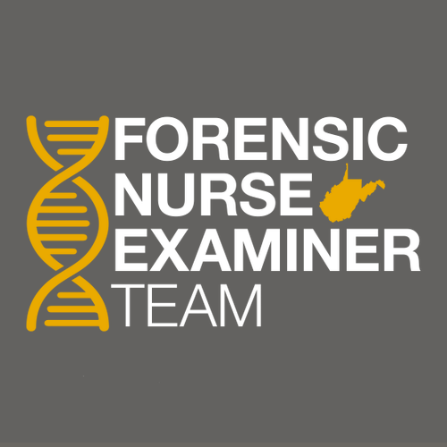 Gildan SoftStyle T-Shirt -- Charcoal