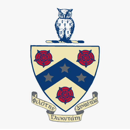 Gildan Heavy Cotton Basic T-Shirt -- White