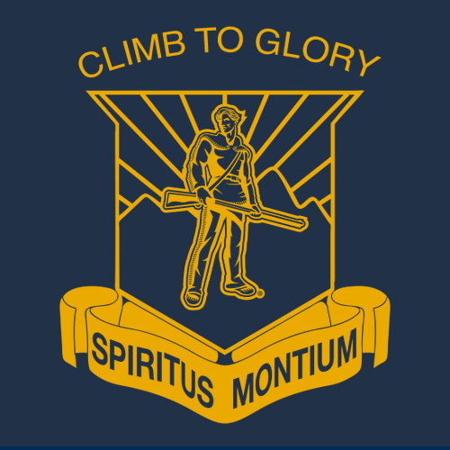 Gildan Heavy Blend Hooded Sweatshirt -- Navy