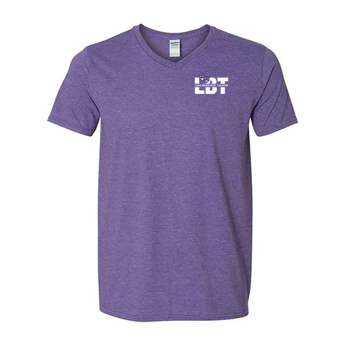 Gildan Adult V-Neck T-Shirt -- Heather Purple