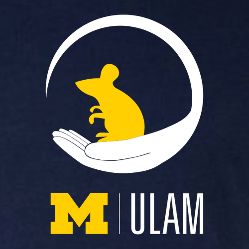 Ladies ULAM Mouse Bella Canvas Relaxed Jersey Short Sleeve Tee -- Solid Navy Triblend