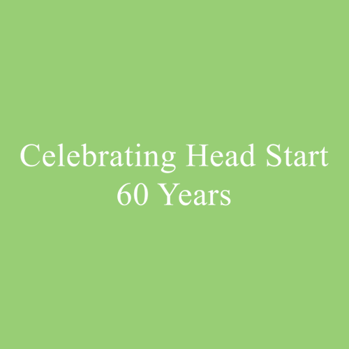 Gildan Ultra Cotton Basic T-Shirt -- Lime