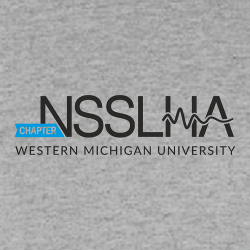 NSSLHA Heavy Blend Crew Neck Sweatshirt -- Sport Grey