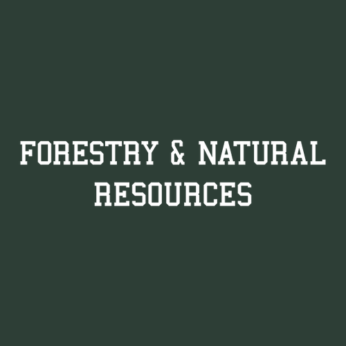 Gildan Ultra Cotton Longsleeve T-Shirt -- Forest Green