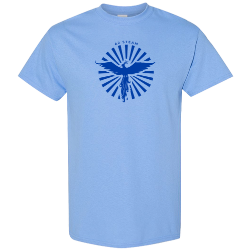 Gildan Heavy Cotton Basic T-Shirt -- Carolina Blue