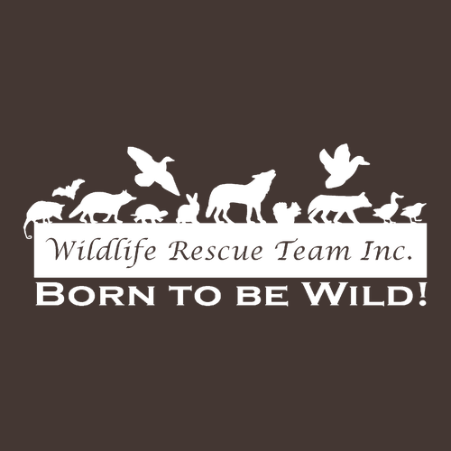 Gildan Full Zip Hooded Sweatshirt -- Dark Chocolate