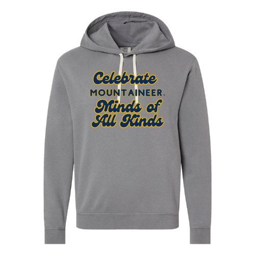 Comfort Colors Unisex Garment-Dyed Lightweight Fleece Hooded Sweatshirt -- Grey