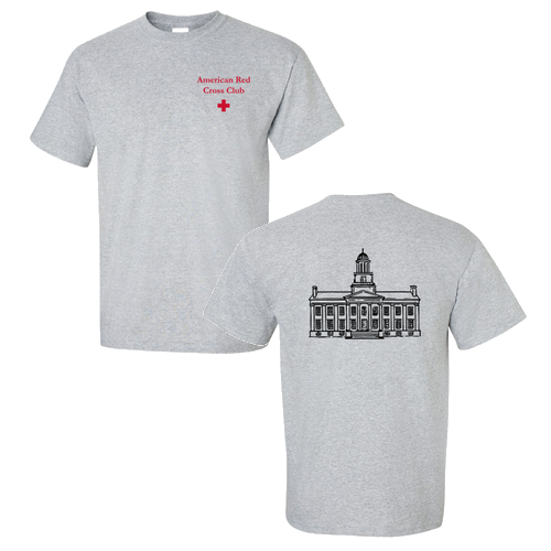 Gildan Ultra Cotton Basic T-Shirt -- Sport Grey