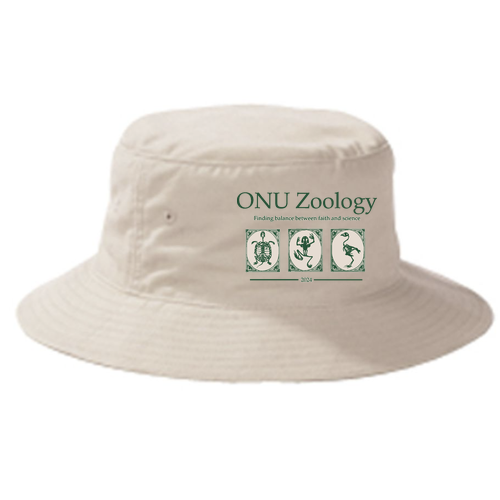 Big Accessories Bucket Hat -- Stone