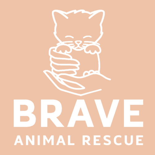 Brave Lightweight Crewneck Sweatshirt -- Peachy
