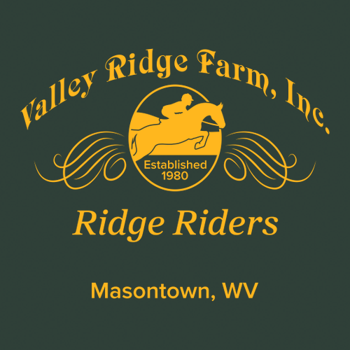 Gildan Heavy Cotton Basic Youth T-Shirt -- Forest Green