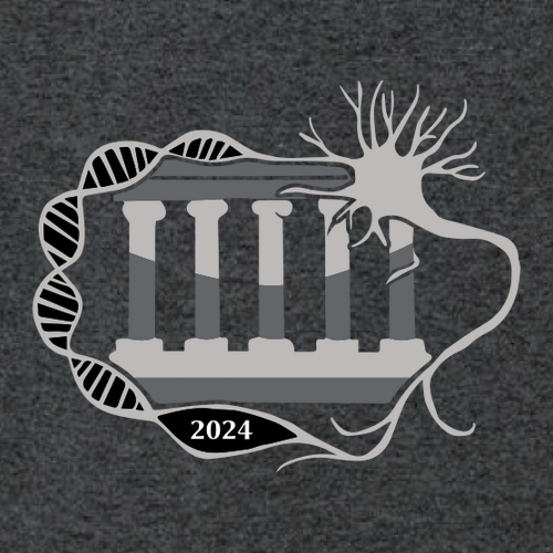 Gildan Ultra Cotton Longsleeve Basic T-Shirt -- Dark Heather