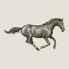 Carousel product image