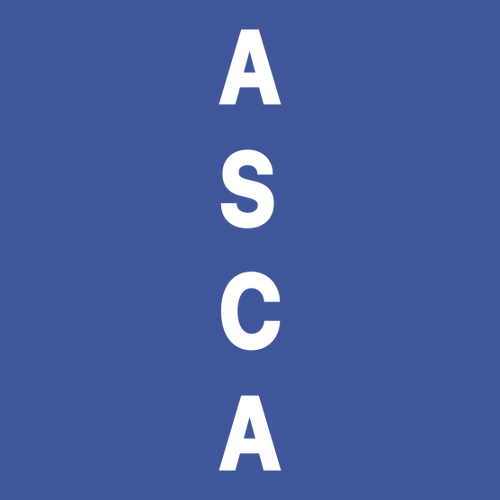 Gildan Heavy Cotton Longsleeve Basic T-Shirt -- Royal