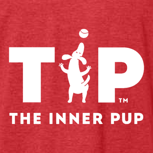 Gildan Softstyle CVC T-Shirt -- Red Mist