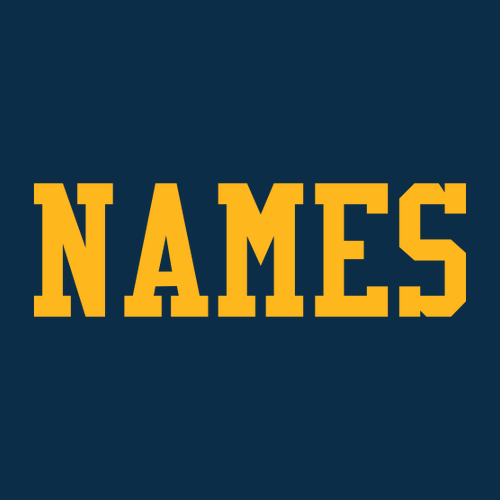 Bella Canvas Youth Sponge Fleece Hooded Sweatshirt -- Navy