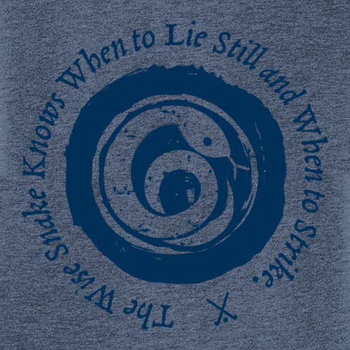 Ladies District Soft Fitted Perfect Tri Tee -- Navy Frost