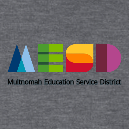 Gildan SoftStyle Fitted T-Shirt -- Dark Heather