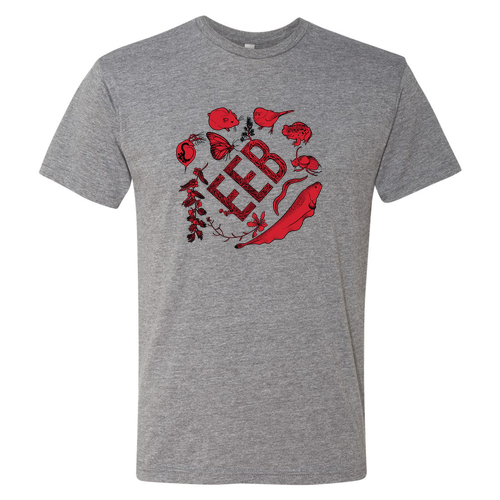 Next Level Mens TriBlend Tee -- Premium Heather