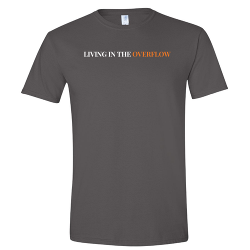 Gildan SoftStyle Fitted T-Shirt -- Charcoal