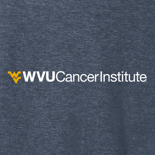 District Women's Perfect Tri Long Sleeve V-Neck Tee -- Navy Frost